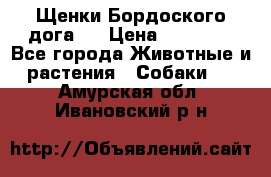 Щенки Бордоского дога.  › Цена ­ 30 000 - Все города Животные и растения » Собаки   . Амурская обл.,Ивановский р-н